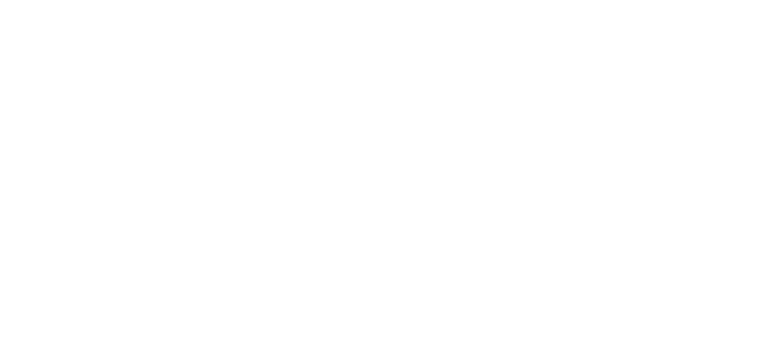 Solid State Records Logo